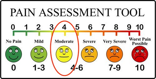 xpain-assessment-scale.jpg.pagespeed.ic.8ENKs_0ePe