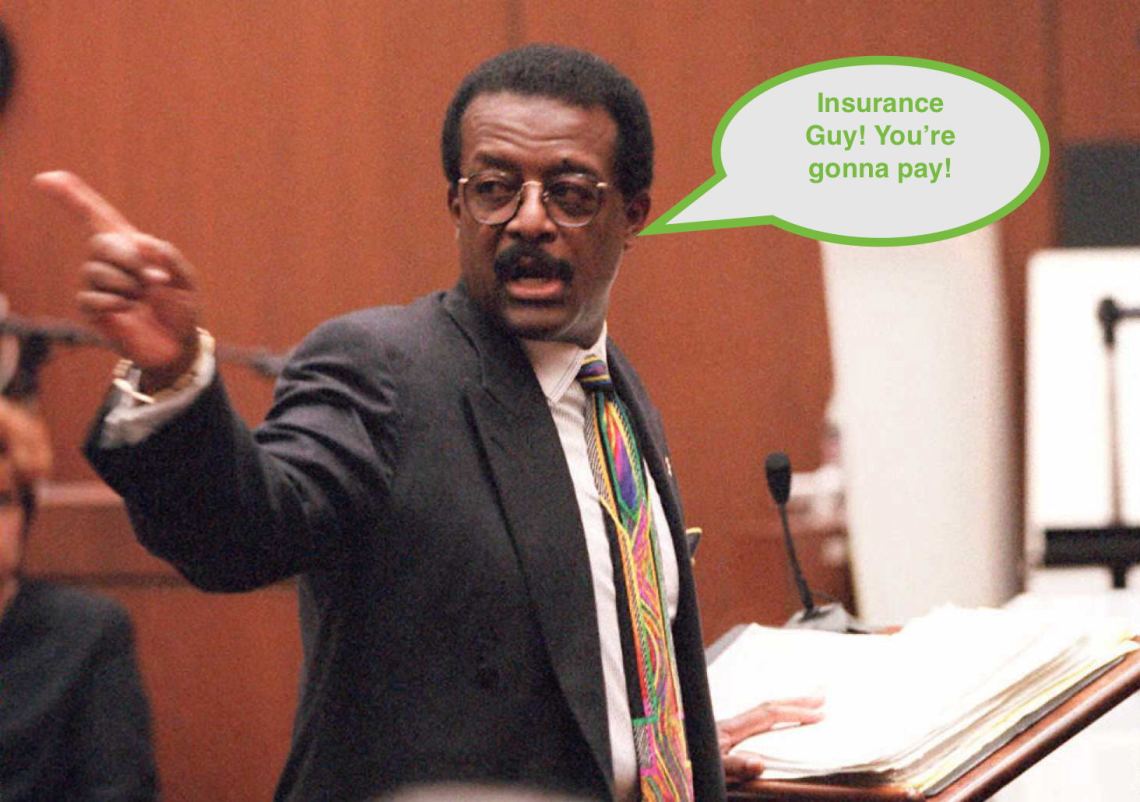 Defense lawyer Johnnie Cochran Jr. points to the d
