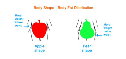 body_shape_2