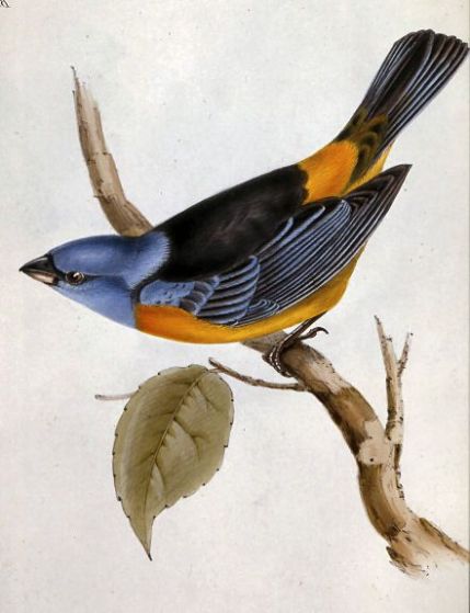 f8a715564cbf2aa46490dea6402d0236