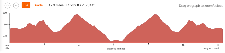 Screen Shot 2019-05-20 at 7.53.34 PM